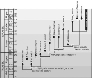 Paleoichnology